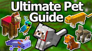 Minecraft Pet Guide